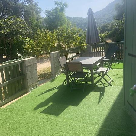 Appartement Proche Du Depart Du Gr20 Calenzana Εξωτερικό φωτογραφία
