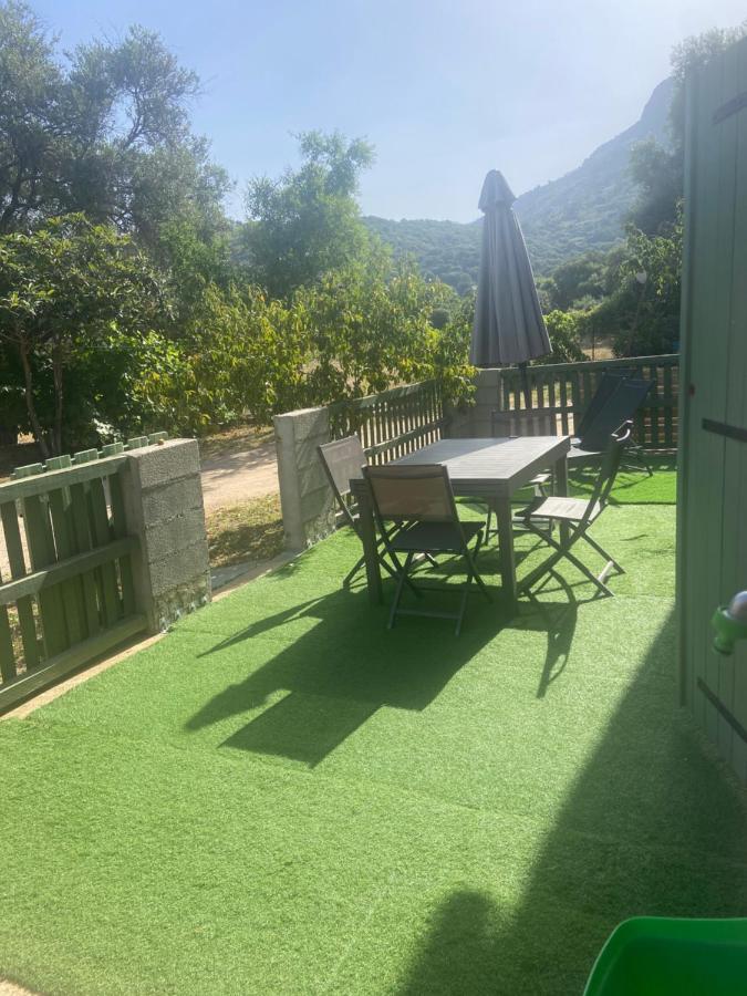 Appartement Proche Du Depart Du Gr20 Calenzana Εξωτερικό φωτογραφία